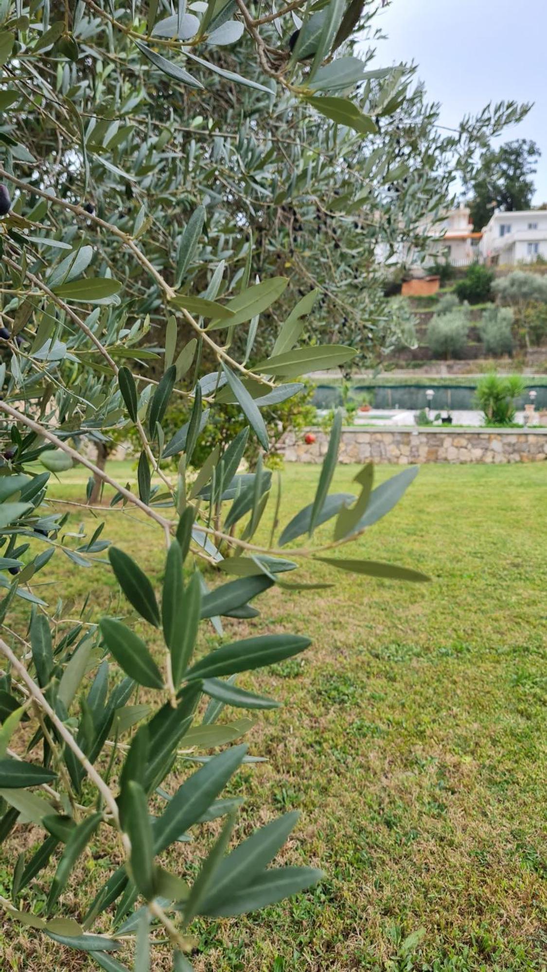 La Hacienda Hotel Ulcinj Exterior photo